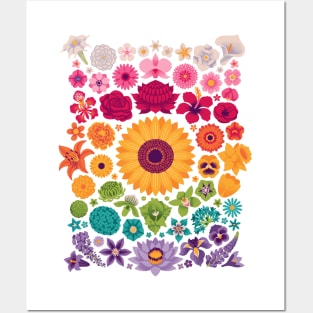 Floral Spectrum Posters and Art